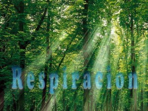 Respiracion